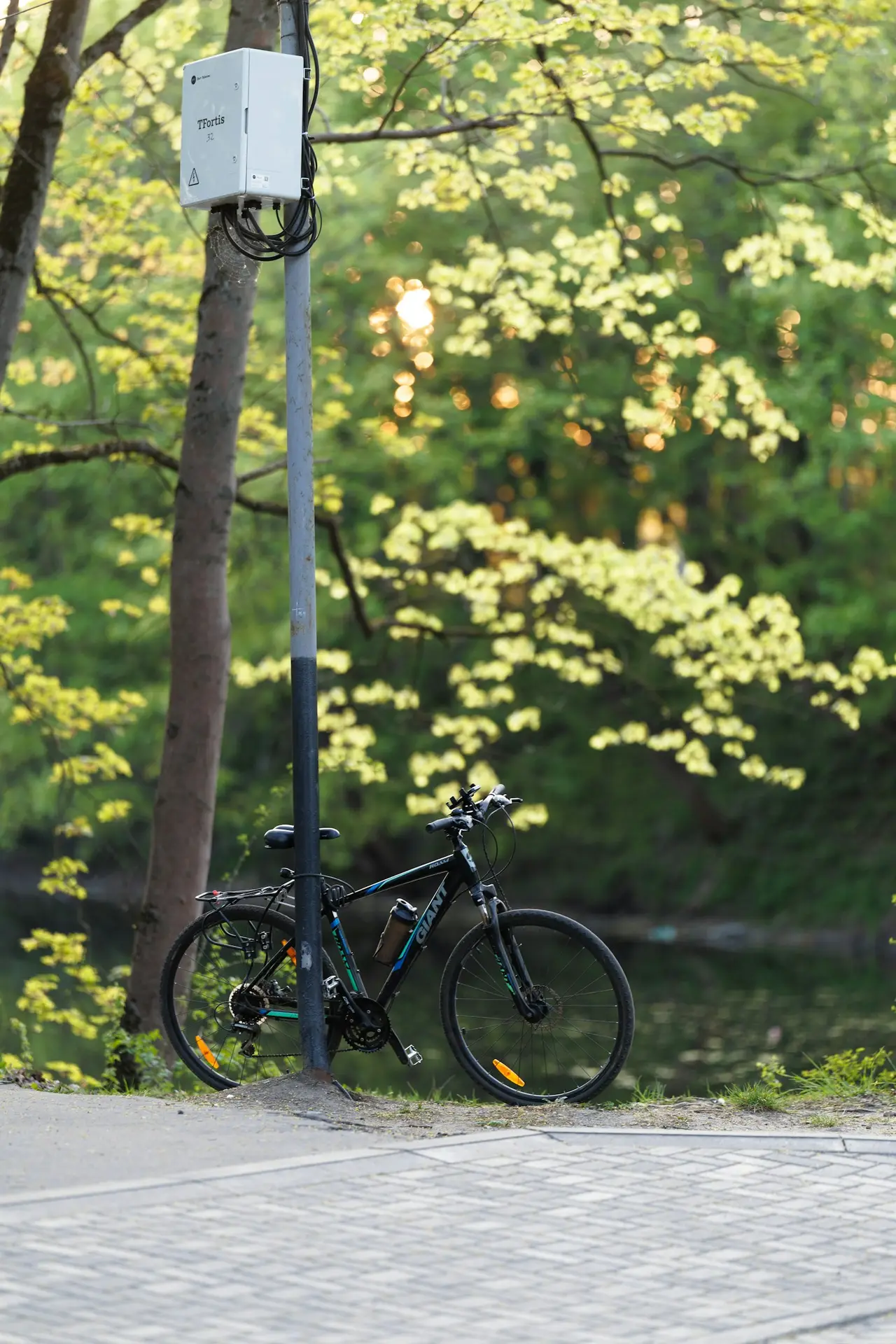 A bicycle parked beside a post carrying a plain box strapped to it.