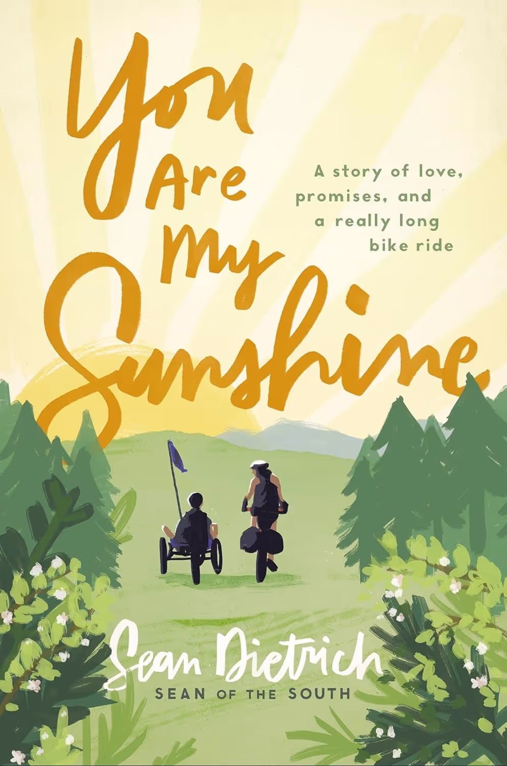 You Are My Sunshine (Kindle) by Sean Dietrich